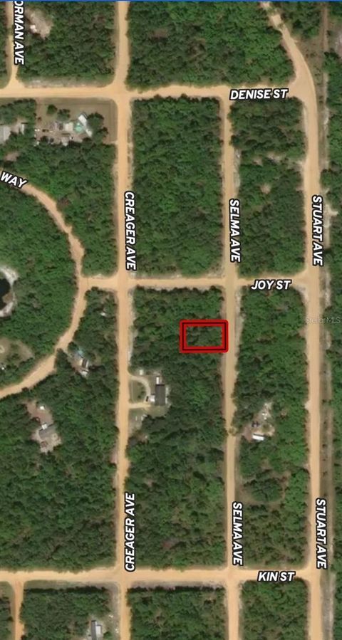 LOT 19 SELMA AVENUE INTERLACHEN FL 32148