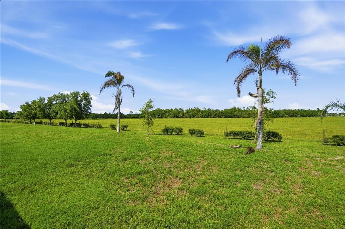 DEL TIERRA PH I - Residential