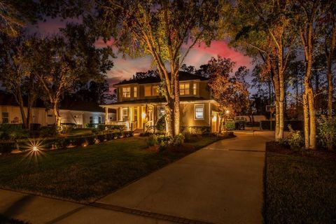 A home in LITHIA