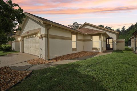Photo of 11624 Peach Grove Lane, Orlando, FL 32821 (MLS # TB8435383) Photo of 11624 Peach Grove Lane, Orlando, FL 32821 (MLS # TB8435383)