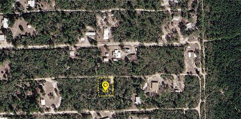 Photo of Xxx NE 234th Lane, Fort Mccoy, FL 32134 (MLS # O6420194)