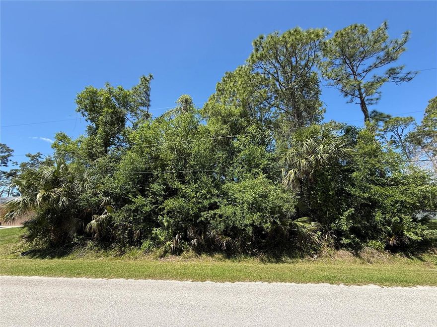 Build your dream home on this spacious 10,375 sq. ft. residential lot located in the growing City of North Port! Situated in the desirable Port Charlotte Subdivision, this R1-zoned property offers the perfect opportunity for a custom single-family home in a peaceful, developing neighborhood. With no existing structures, you have a blank canvas to design exactly what you envision. Conveniently located near shopping, dining, schools and easy access to major roadways, this property combines privacy with accessibility. Whether you're looking to build now or invest for the future, this vacant lot is a fantastic opportunity in a rapidly expanding area of Southwest Florida.