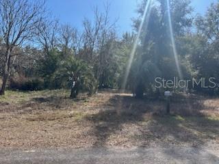 FOREST LAKE NORTH - Land