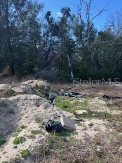 FOREST LAKE NORTH - Land