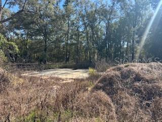 FOREST LAKE NORTH - Land