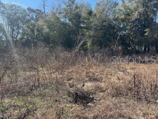 FOREST LAKE NORTH - Land