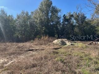 FOREST LAKE NORTH - Land