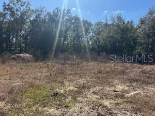 FOREST LAKE NORTH - Land