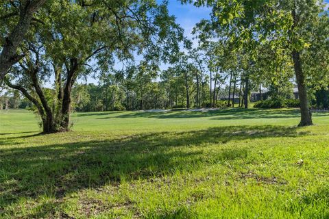 A home in HOMOSASSA