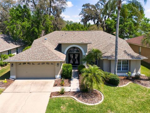 8435 BASUTO DRIVE TRINITY FL 34655