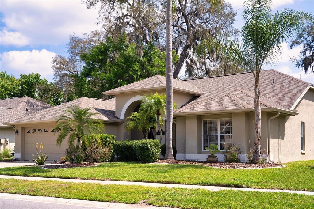 Photo of 8435 Basuto Drive, Trinity, FL 34655 (MLS # O6395950)