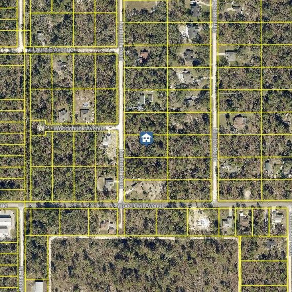 Photo of 8 Nuthatch Road, Weeki Wachee, FL 34614 (MLS # W7883811)