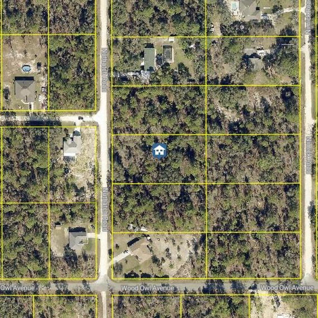 Photo of 8 Nuthatch Road, Weeki Wachee, FL 34614 (MLS # W7883811)