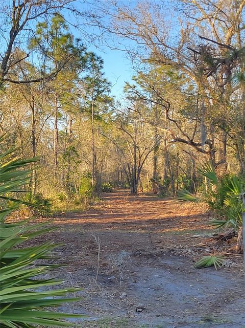 5424 WAUCHULA ROAD MYAKKA CITY FL 34251