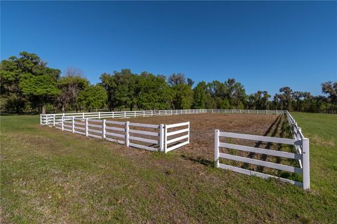 Tiny photo for 12275 W Highway 318, Reddick, FL 32686 (MLS # GC519408)