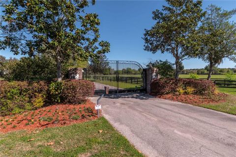 Tiny photo for 12275 W Highway 318, Reddick, FL 32686 (MLS # GC519408)