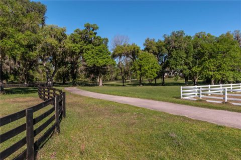 Tiny photo for 12275 W Highway 318, Reddick, FL 32686 (MLS # GC519408)