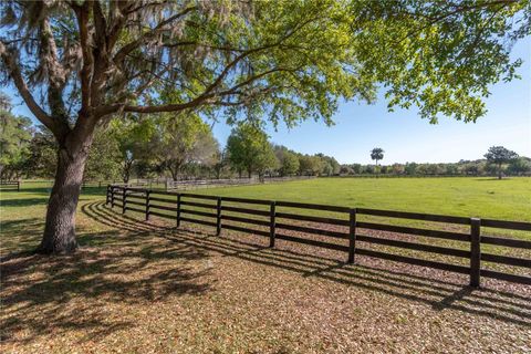 Tiny photo for 12275 W Highway 318, Reddick, FL 32686 (MLS # GC519408)