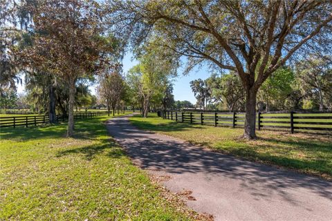 Tiny photo for 12275 W Highway 318, Reddick, FL 32686 (MLS # GC519408)