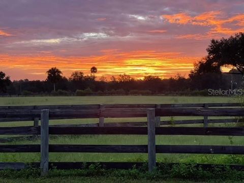 Tiny photo for 12275 W Highway 318, Reddick, FL 32686 (MLS # GC519408)