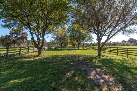 Tiny photo for 12275 W Highway 318, Reddick, FL 32686 (MLS # GC519408)