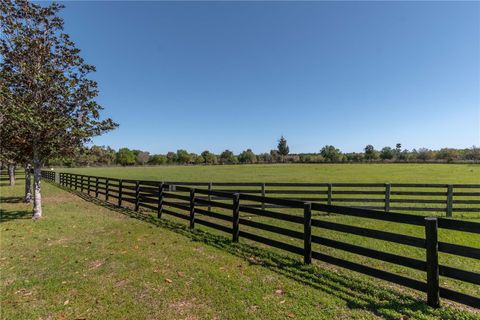 Tiny photo for 12275 W Highway 318, Reddick, FL 32686 (MLS # GC519408)