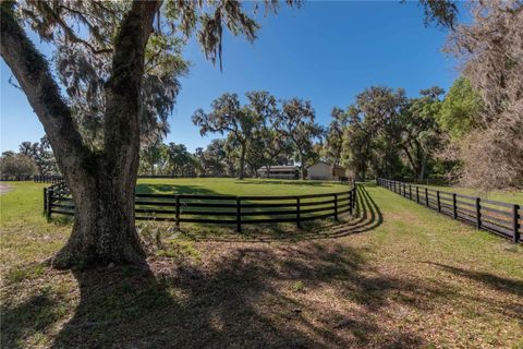 Tiny photo for 12275 W Highway 318, Reddick, FL 32686 (MLS # GC519408)
