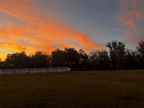 Tiny photo for 12275 W Highway 318, Reddick, FL 32686 (MLS # GC519408)