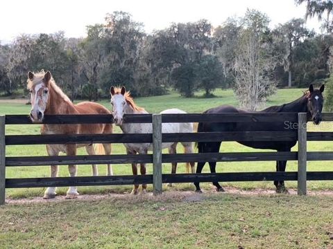 Tiny photo for 12275 W Highway 318, Reddick, FL 32686 (MLS # GC519408)