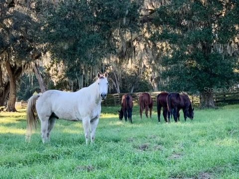 Tiny photo for 12275 W Highway 318, Reddick, FL 32686 (MLS # GC519408)