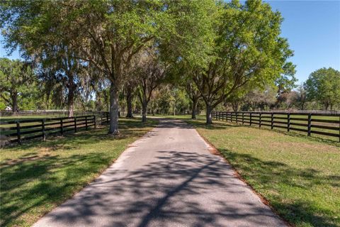 Tiny photo for 12275 W Highway 318, Reddick, FL 32686 (MLS # GC519408)