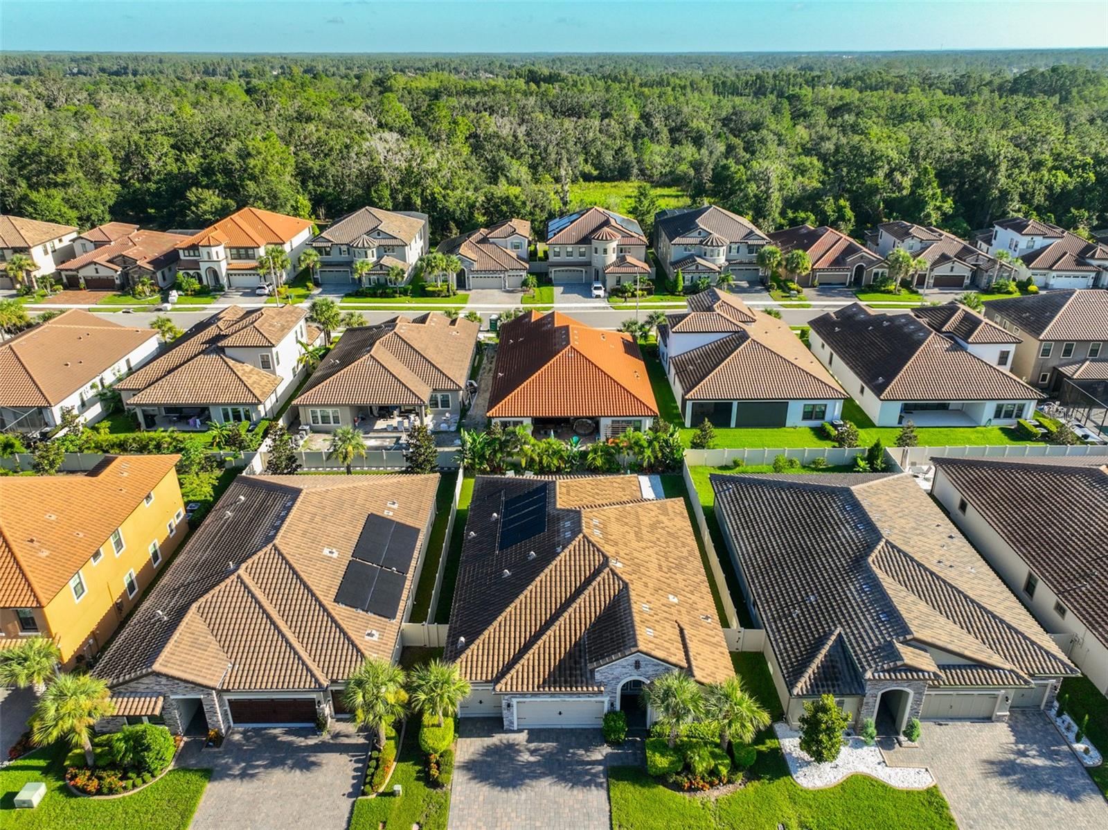 PRISTINE LAKE PRESERVE - Residential