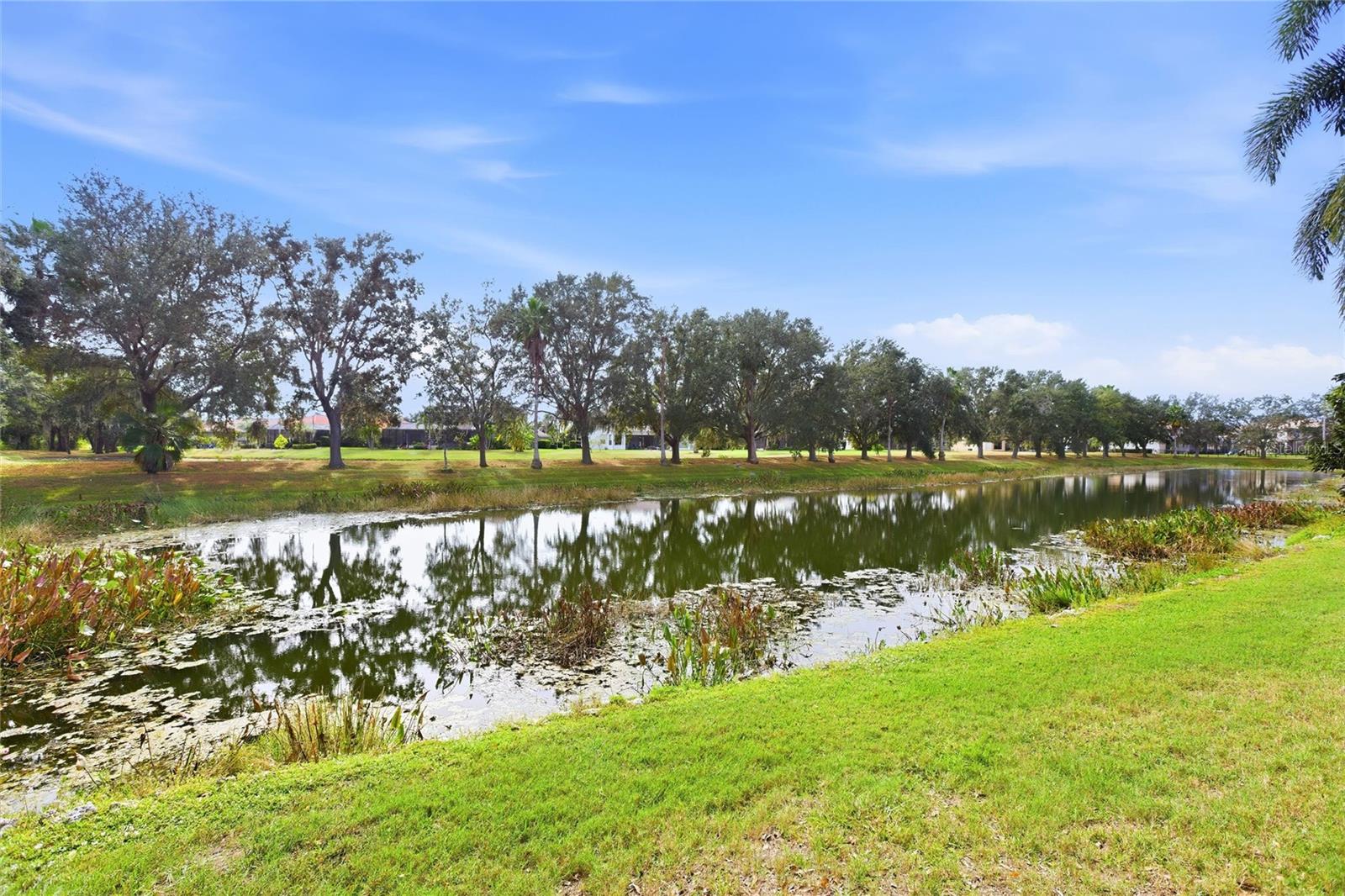 HIDDEN OAKS - Residential