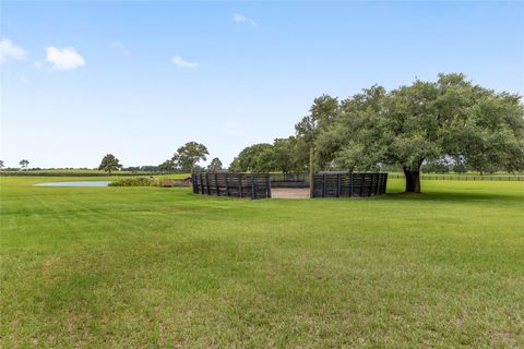 Tiny photo for 18800 SE 47 Place, Morriston, FL 32668 (MLS # OM705137)