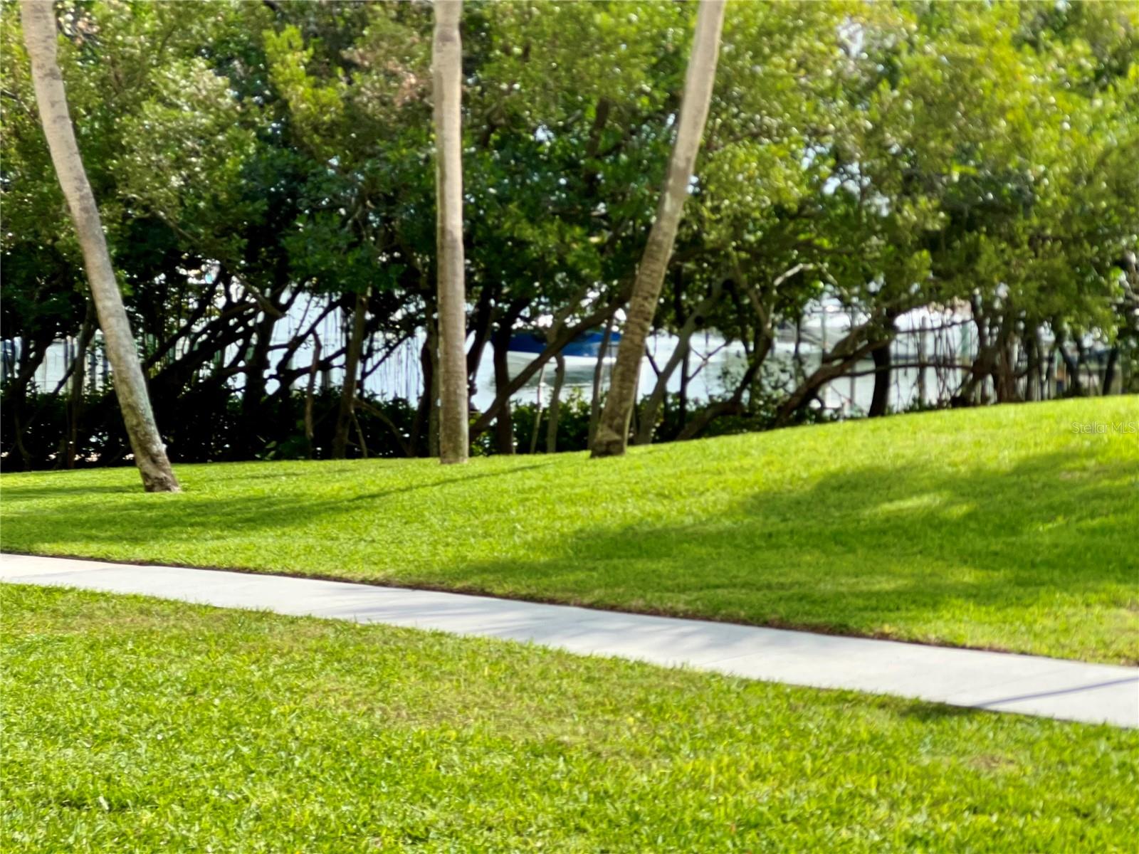 PASADENA COVE CONDO - Residential