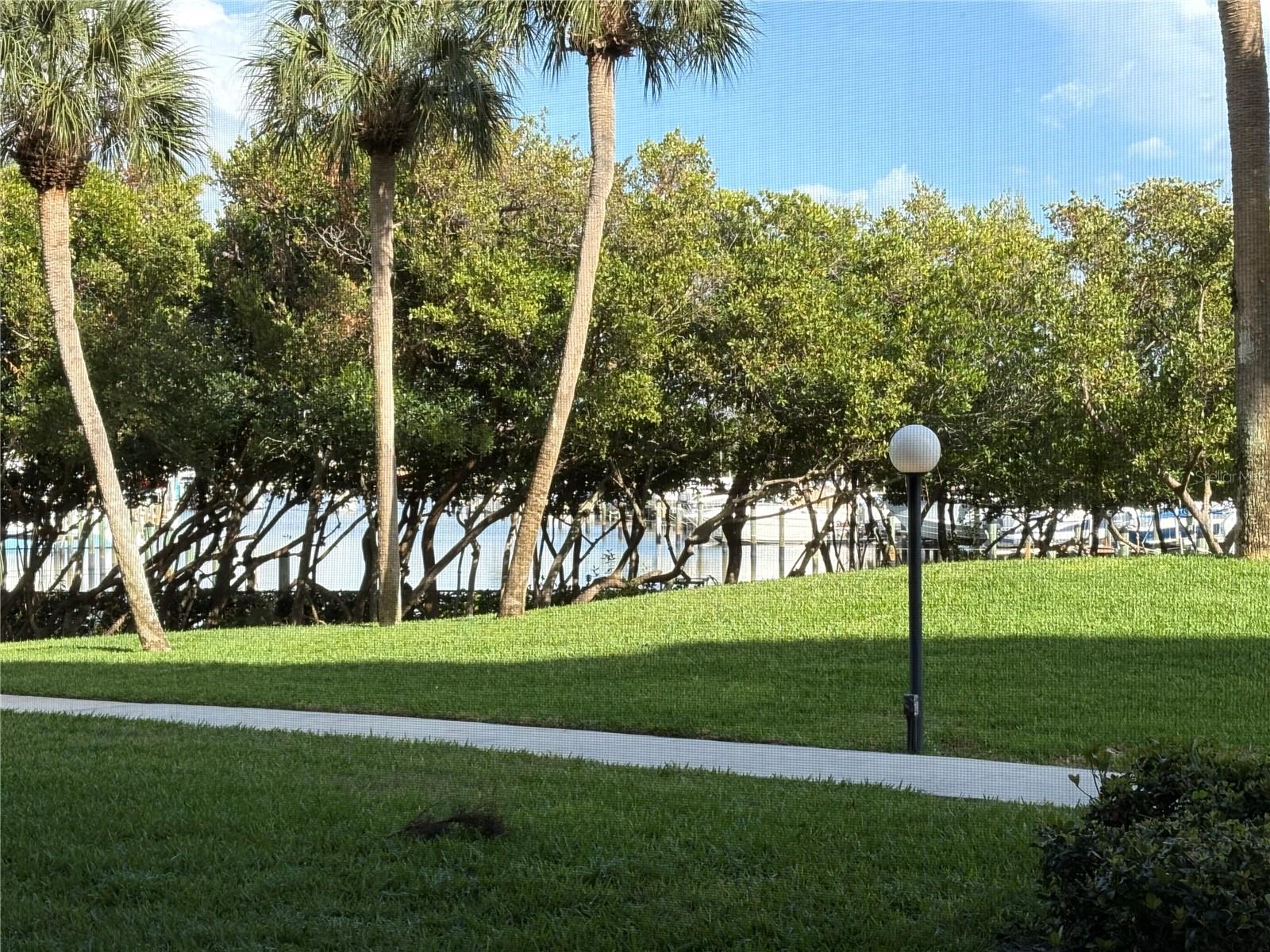 PASADENA COVE CONDO - Residential