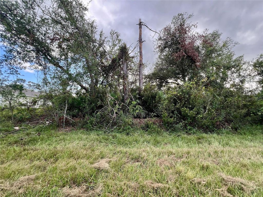 Photo of 12189 Vaughan Avenue, Port Charlotte, FL 33981 (MLS # C7498866)