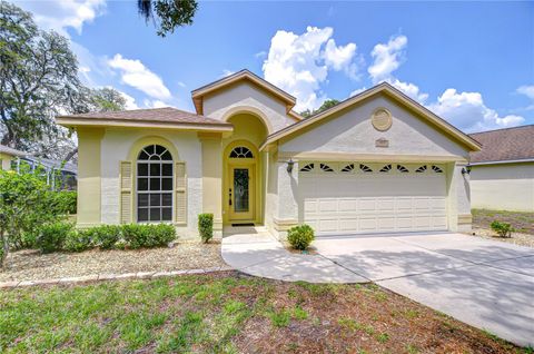 16501 SANDHILL CRANE DRIVE SPRING HILL FL 34610