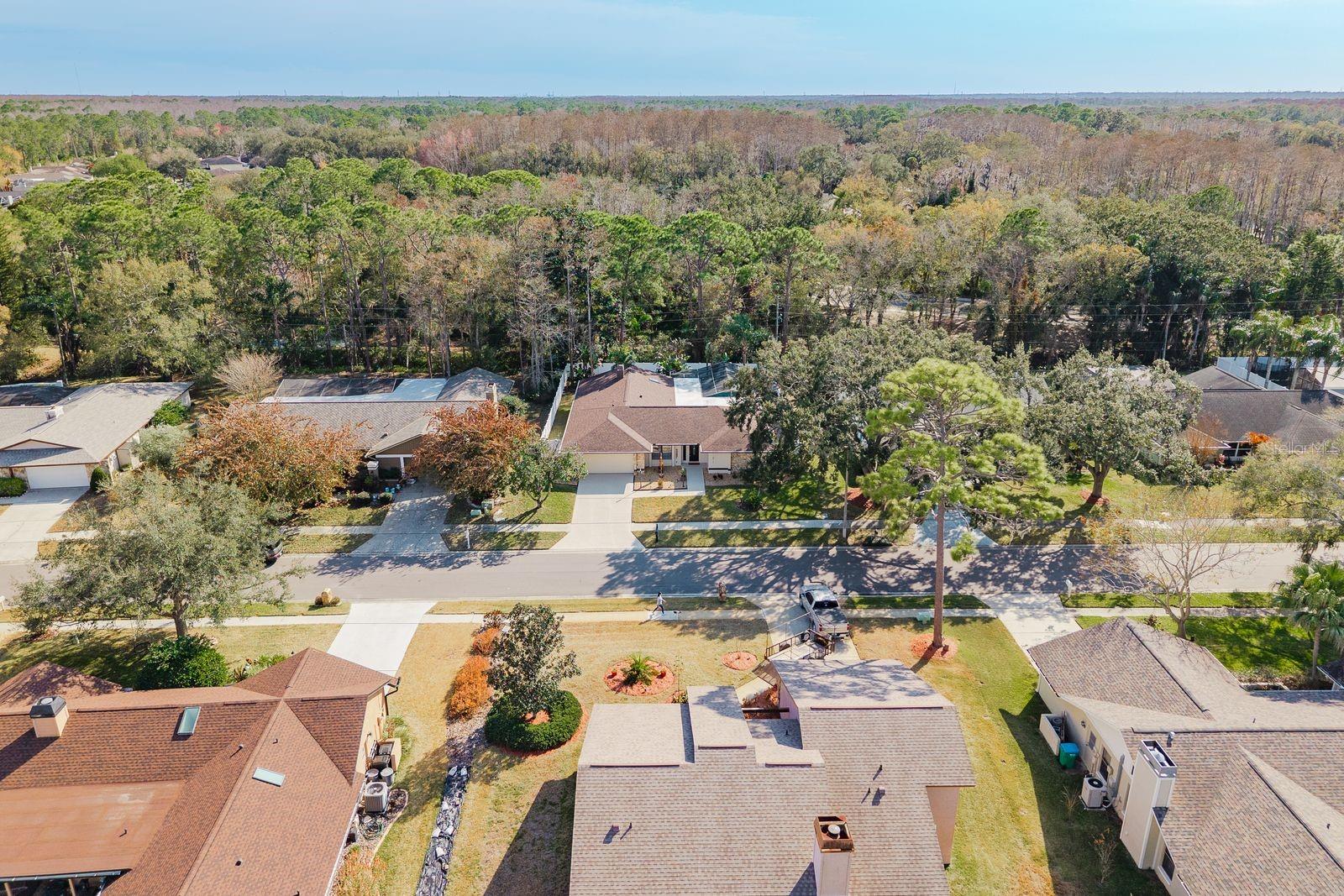 TARPON WOODS 4TH ADD - Residential