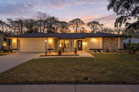 Photo of 3404 Brian Road S, Palm Harbor, FL 34685 (MLS # TB8464328)