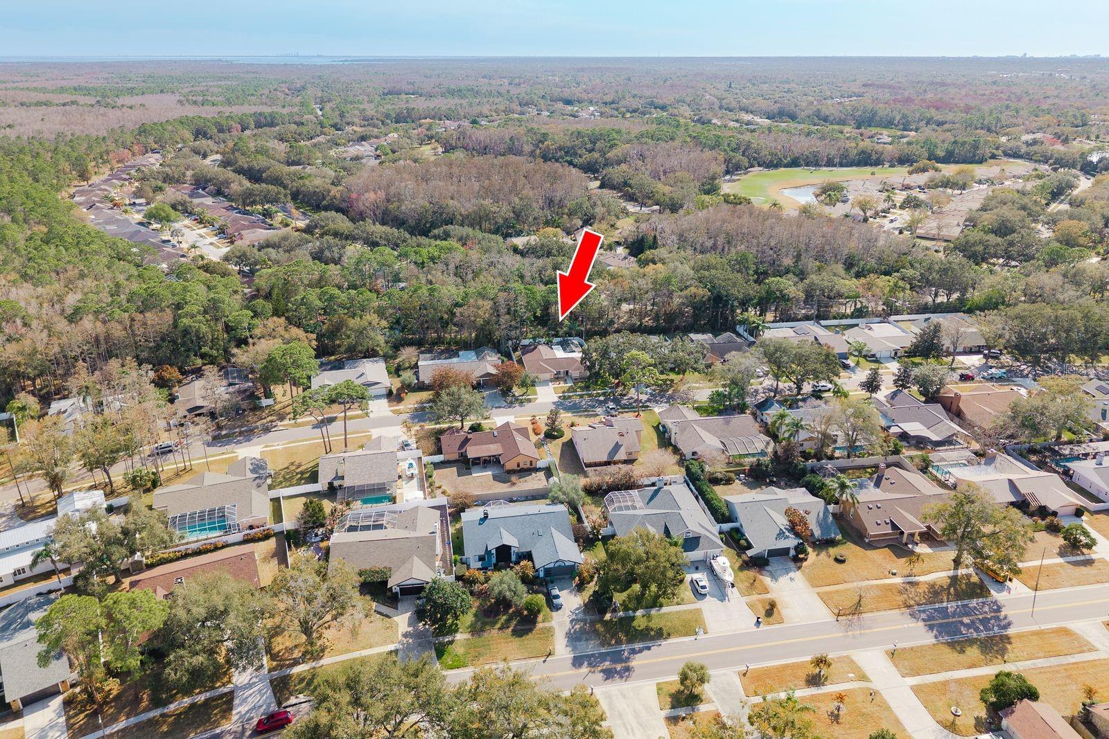 TARPON WOODS 4TH ADD - Residential