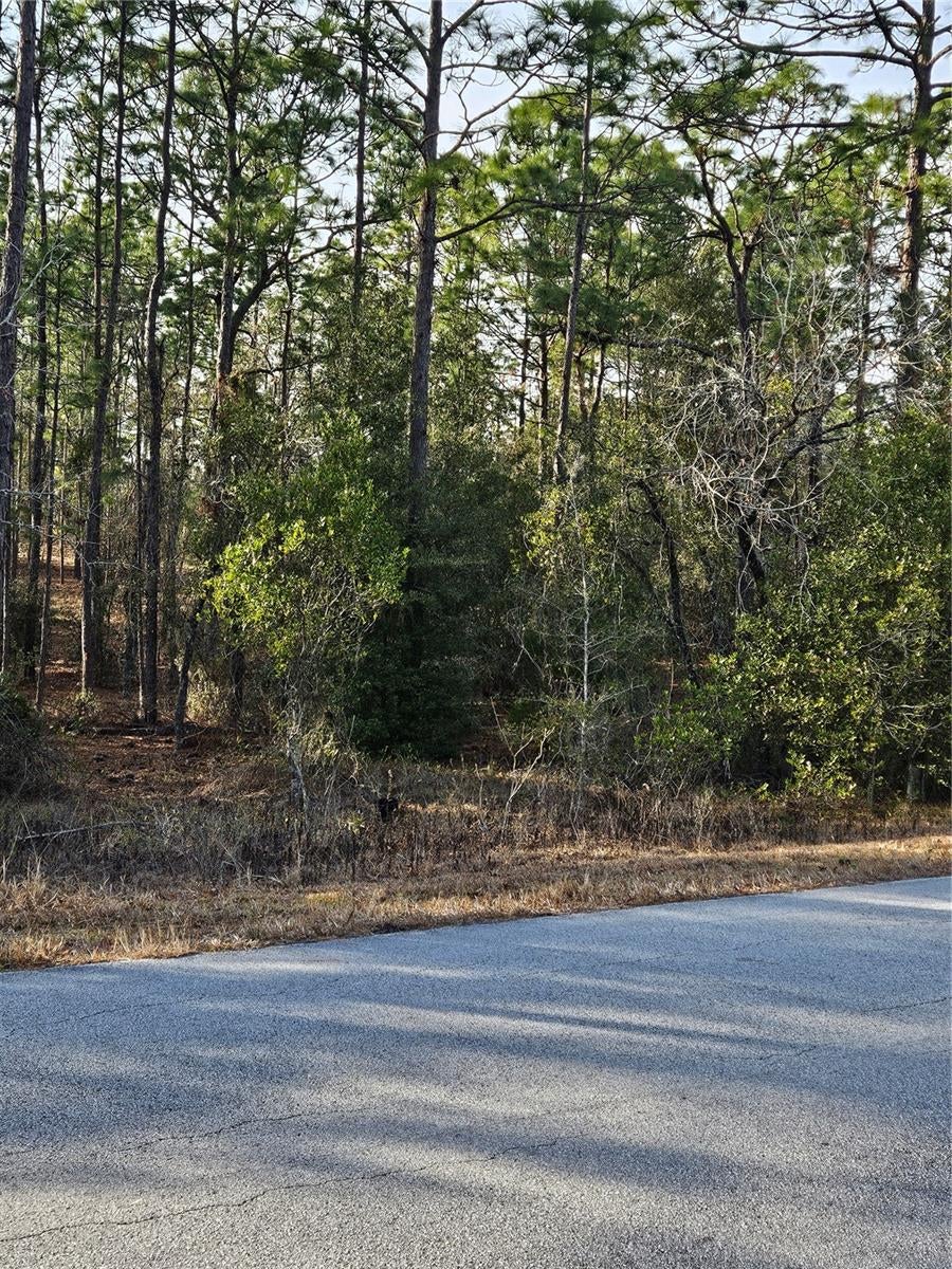 Photo of SW Admiral Landing Dr., Dunnellon, FL 34431 (MLS # OM693879)