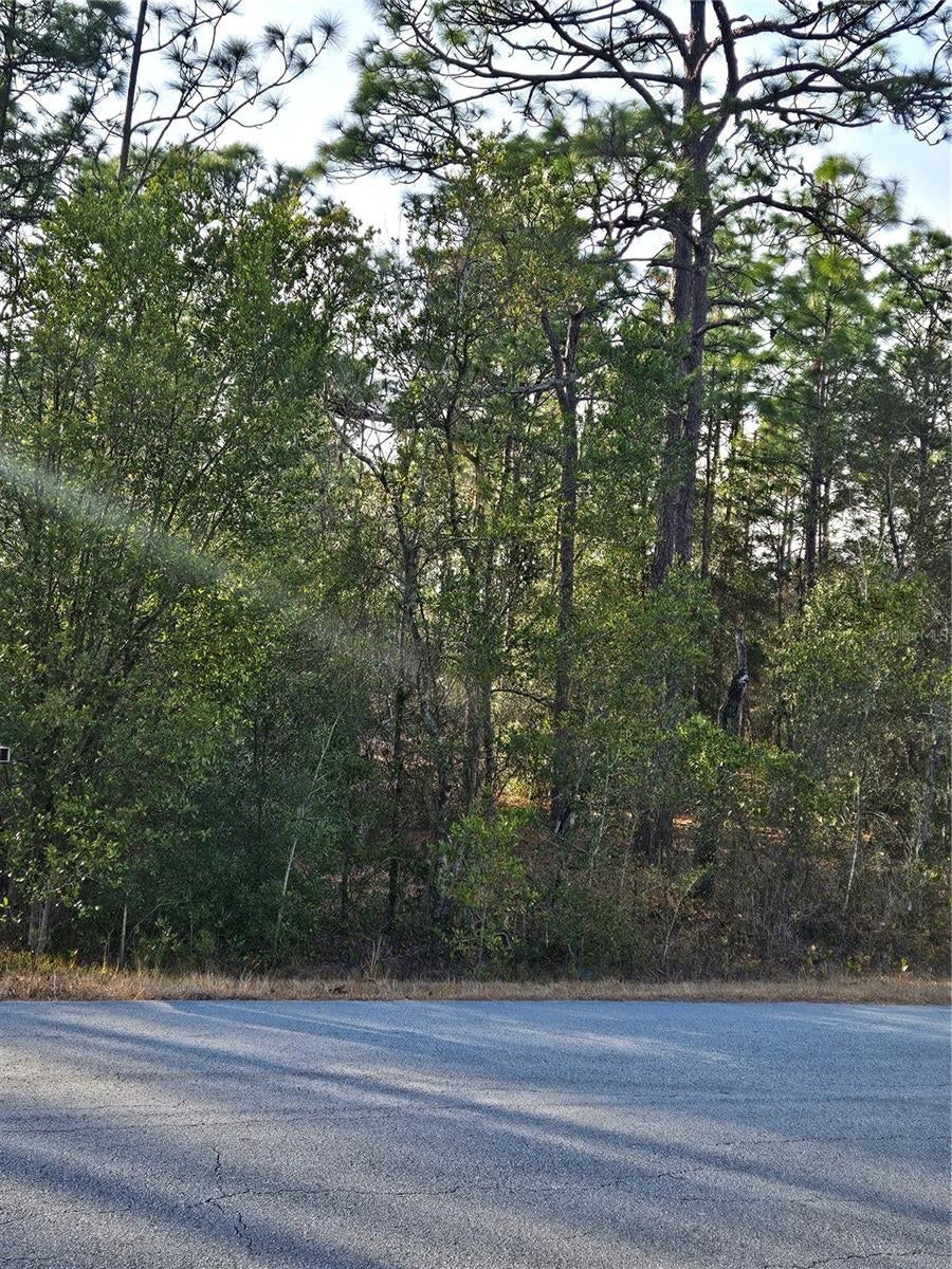 Photo of SW Admiral Landing Dr., Dunnellon, FL 34431 (MLS # OM693879)