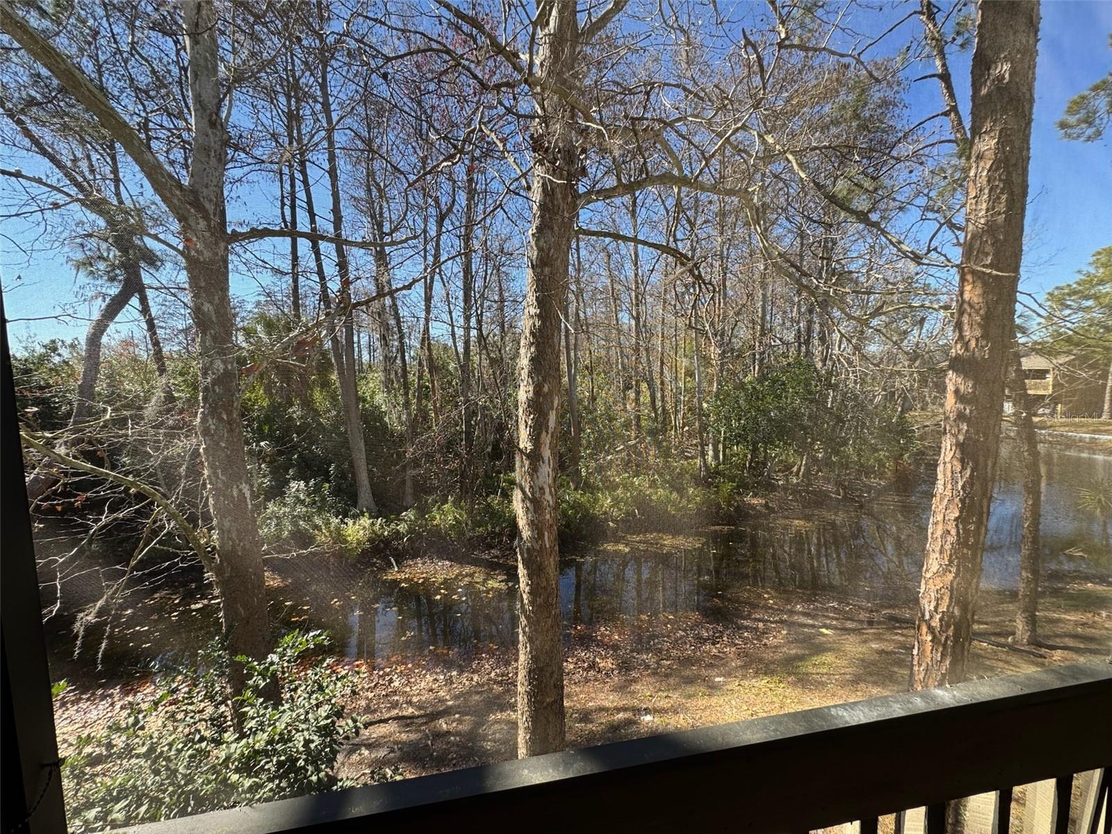 CYPRESS WOODS CONDO - Residential