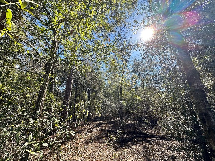 BRONSON 1.25 ACRE BUILDING PARCEL FOR YOUR NEW HOME! POSSIBLE OWNER FINANCE. Discover the perfect opportunity to own 1.25 acres in the desirable Diversified Land area of Bronson, Florida. This spacious lot offers a peaceful rural setting with the convenience of power available on the street, making it ideal for a future homesite, mobile home, or long-term investment. Parcel measures about 165' X 330' with no HOA, no flood zone and no time limits to build. Enjoy the natural Florida landscape, privacy, and wide-open space while still being just minutes from local amenities, schools, and outdoor recreation. Whether you’re looking to build, place a manufactured home, or hold land in a growing area, this versatile property offers endless potential in a quiet and affordable part of Levy County.