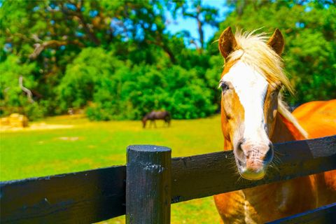 Tiny photo for 35841 Timbertop Lane, Fruitland Park, FL 34731 (MLS # O6300778)