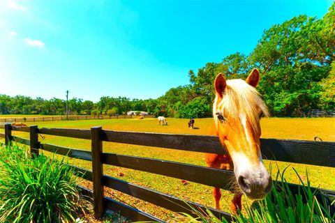 Tiny photo for 35841 Timbertop Lane, Fruitland Park, FL 34731 (MLS # O6300778)