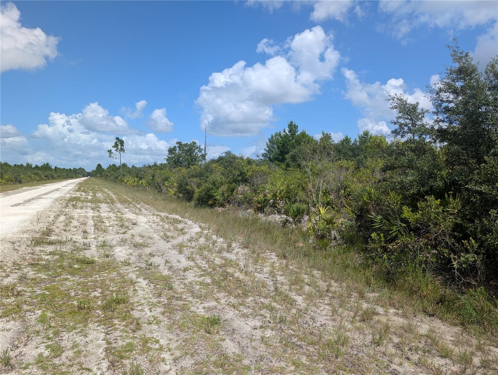 SARASOTA DRIVE