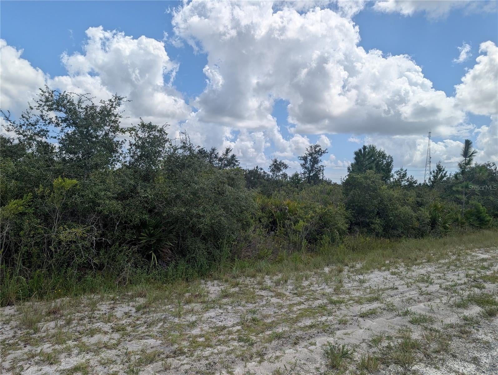 SARASOTA DRIVE