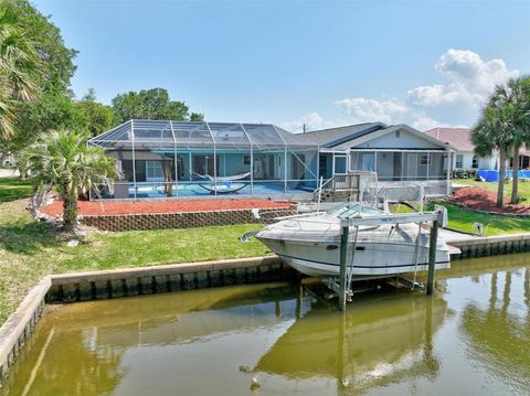 A home in PALM COAST